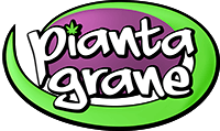 Piantagrane